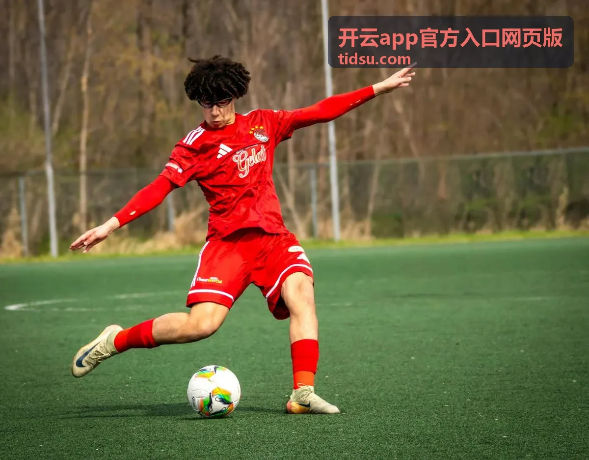 开云app官方入口网页版页面在浏览器中的展示效果
